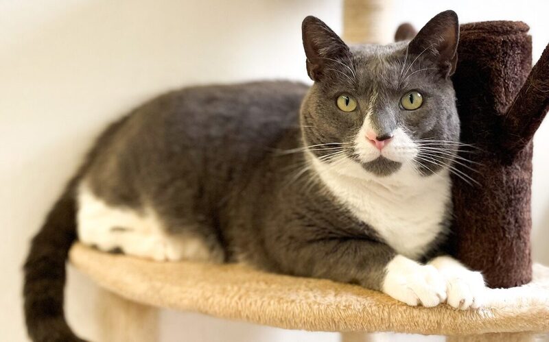 Imagem do fornecedor